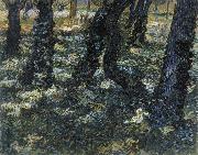 Vincent Van Gogh Undergrowth Spain oil painting artist